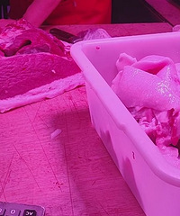 ż�����ӵ��ϰ���5��Ǯһ��߽��⣬�����ʲô���ܣ�