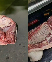 ����6����ż�·����һ������⣬�ȴ�2Сʱ��������������۷׷�