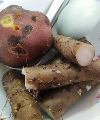 ���ϰ��Ե��Ļ��������