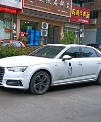 ���������ġ���Ӱɱ