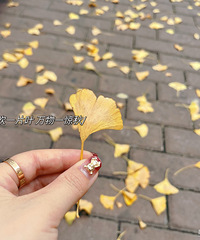 90��MM���������ڽ�����ϣ��δ������һ���з��г���ȫ�