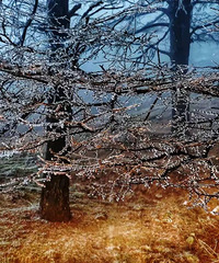 雨雪加降温,豪华寒潮套餐来了!2022的第一场雪想好去哪看了