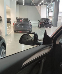 ��˹����̤��ģʽ������ʲô��һ��