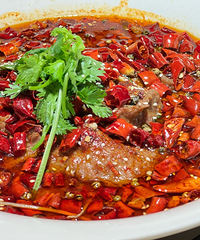 ϲ������Ϻ��Ϻ�ʺܴ���Q��