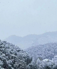 莫干山十一月最后一天的初雪,究竟有多浪漫?