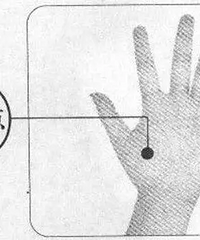 �и���΢��ðС���У�10�����С��������ͦ���õ�