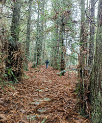 �״�С����:������һŰǧ��