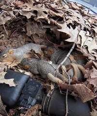 ���쵽�ˣ������λ��������֮ǰ���鿴����������û�С�С�ɰ���