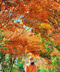 [����]7��С�ں��ŵ�����������������