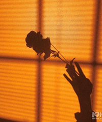 �����������ɡ���93�꽷��MM���⽻��