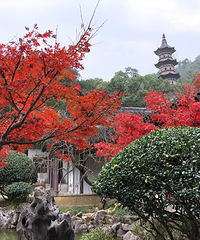 走遍台州之黄岩九峰环线
