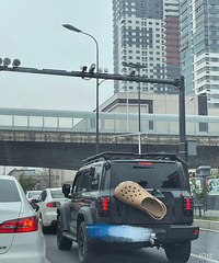 ���������ġ�������ǿ��֢���µ�������������