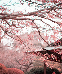 [����]����������24���ط�