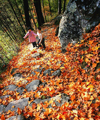 [����]�ٺ��ͷ��ͼ�������