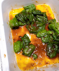 ���Ի���̨��no71����ʳ������