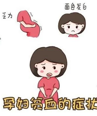 �����ڳԵö࣬Ϊɶ��ƶѪ?��һ���Ǻ�������Щϸ��