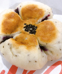 ��ʮ������ʳ�ֲݡ�ϲ��Ĳ�͵���