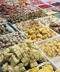 ��ʮ������ʳ�ֲݡ�����Ի��