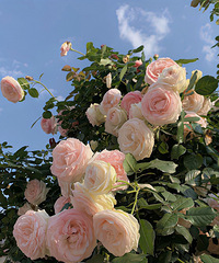 92�����GG������һ�㣬�Ҹ����Ž�����ɼ�