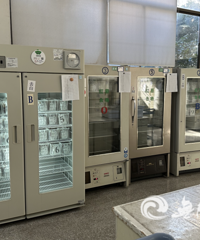 @������� ̨��Ѫ��漱���������Ԯ��