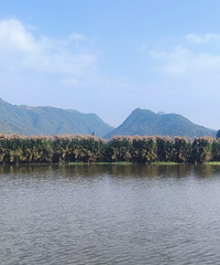 ����һ����Ϳ������ʪ�صģ��ͽ����Ƶ������ŵ�