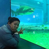 Ů��25��/166cm/����/��ó