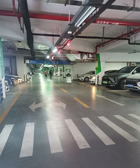 ��������״����ҿ��������