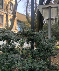 [����]8���Ͼ�С��������ͷ���桱���ݼ�1401��