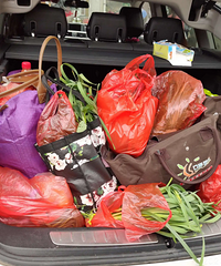 ����˽�ҳ�װ���������˻���װ�����£������⼸�㾯�쿴��Ҳû��