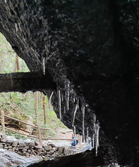 ���һ���ɽ �Ի��~ͨ�춴~��ӥ������