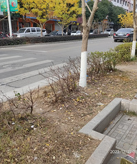 ���������ġ����ֽ��Ϻö����ͺգ��������˻�����Ǯ�˶���