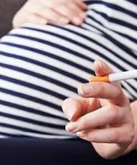 ����ά����̥������Ц������Ϊ�����������ã�ҽ��ȴ������