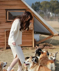 [����]�������µĺ�������������