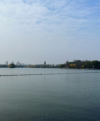 ̨���������������ĺ�����ҵ���ð���