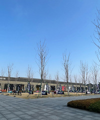 ̨���������������ĺ�����ҵ���ð���