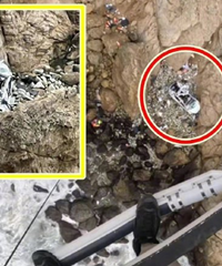 ����˹���������µļ���ҽ������ıɱδ�죿