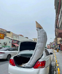 ���������ġ�������������ʲô��