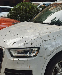 ���������ġ���ʺ�ľ���.