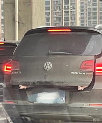 ���������ġ��Ⱥ��̵�����һ��