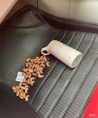 ���������ġ�һ����ɲ�������У�����ȫ�����׸��˳��ӵص�