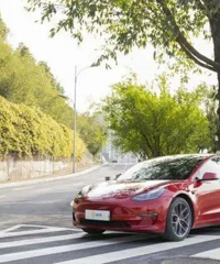 ��˹���۸�ӭ��ʷ�� ͬ��λ���͡������硱˭��ֵ��ѡ��