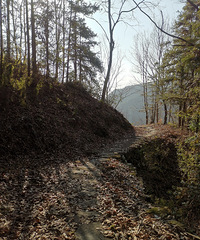 ���ӡ�����ƺ����