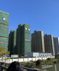 ������㸮