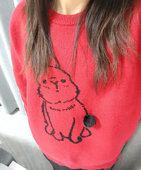 ��ɹ���Ҹ�����ؼҹ���ɡ�Ů��23��/159cm/�ٺ�