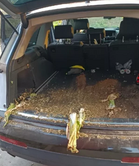 ������ĳ��ж�ߵ�������ĸ����ǰ�����Ǹ����ײ˵����乤�߶���