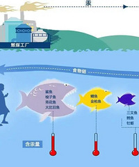 �����ˣ���Щʳ�������üɿڵģ�