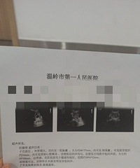 �ƻ��е�С�ϻ���2023�����ռǡ�