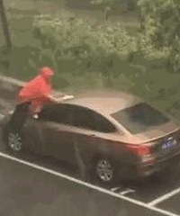 �����������İ�ϧ���ӵ���Ϊ��ʲô��������������ǰ��ҿ�����