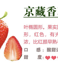 [��ʳ]������ݮ�������Ӫ����ֵ��������