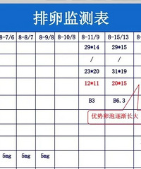 ���гɹ���Ԥ����Ӧ����ô��